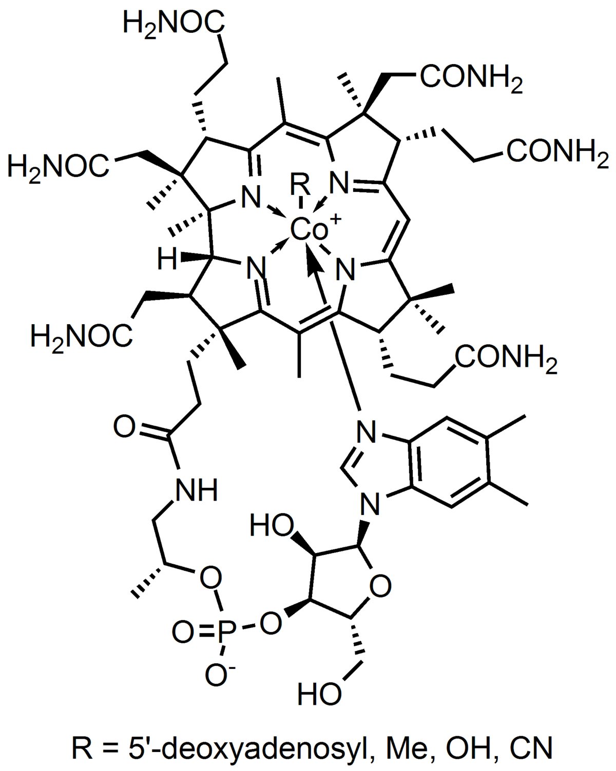 فيتامين ب12 ( B12 ) : الكوبلامين  COBALAMIN