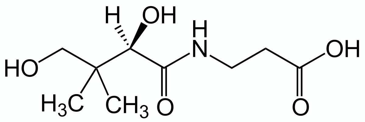 فيتامين ب(5) B5 حمض البانتوثينيك Pantothenic Acid