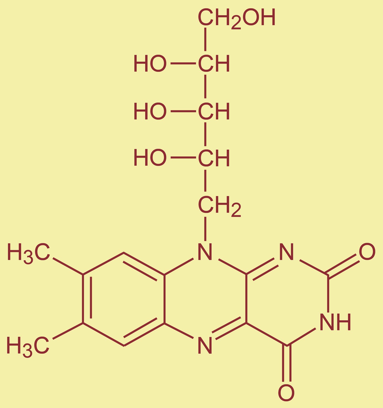فيتامين ب2 (B2) الريبوفلافين RIBOFLAVIN
