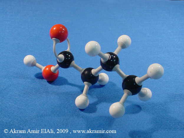 حمض البيوتيريك Butyric Acid ، حمض البيوتانويك Butanoic Acid