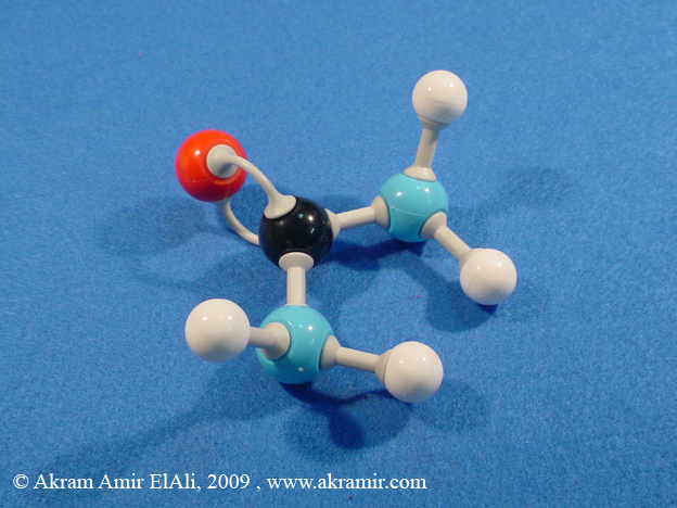 دورة اليوريا (دورة الأورنيثين) Urea Cycle