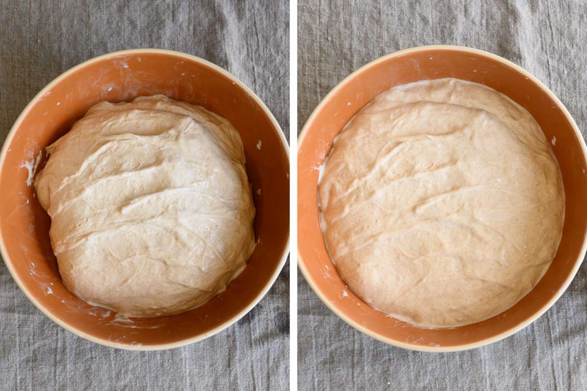 تخمر fermentation