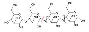 أميلاز (أميليز) Amylase