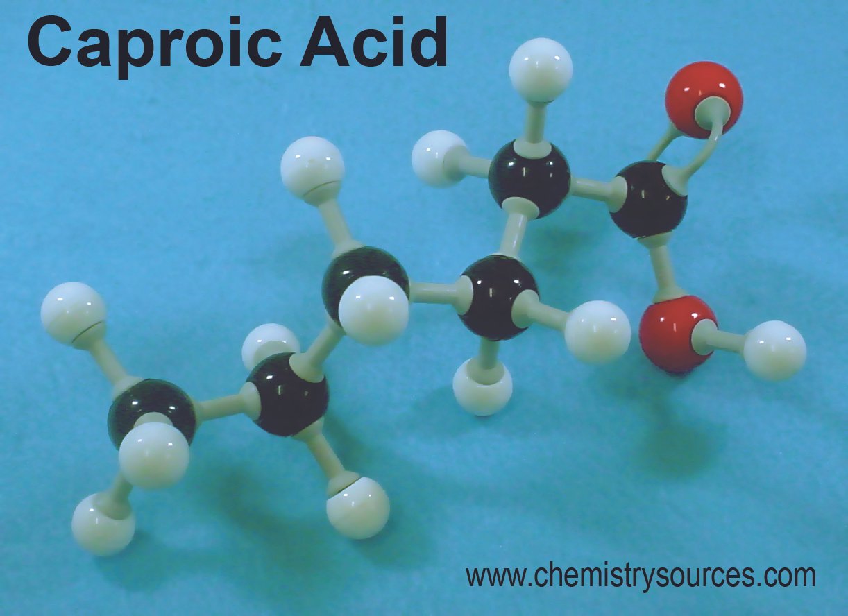 حمض الكابرويك (حمض الهكسانويك)  Caproic Acid