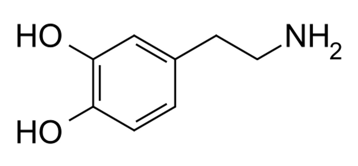 دوبامين Dopamine