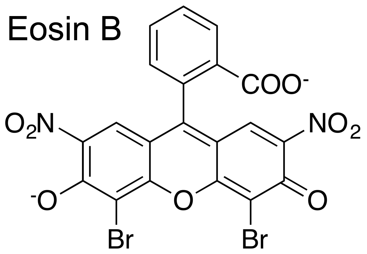 إيوسين Eosin