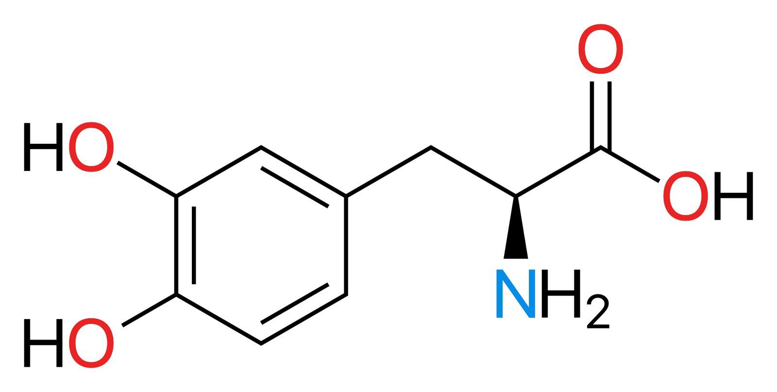 ثنائي هيدروكسي فينيل ألانين اليساري ( 3،4-) C9H11NO4 Dihydroxyphenylalanine