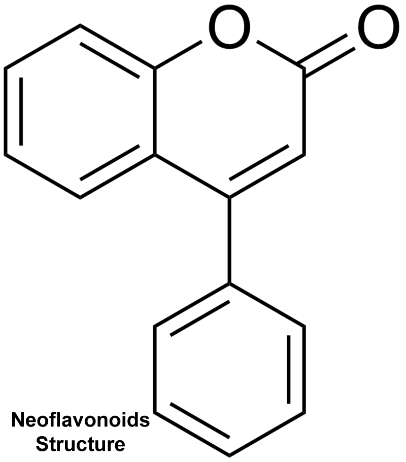 فلافونويد (فلافونيد) Flavonoid