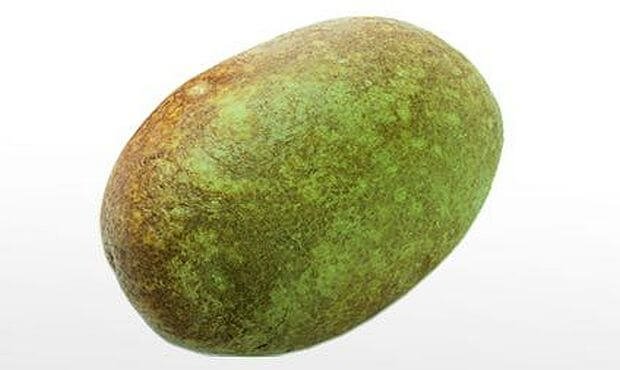 سُمية البطاطس الخضراء و خطر التسمم بالسولانين