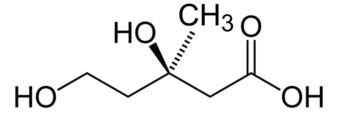 حمض الميفالونيك Mevalonic Acid