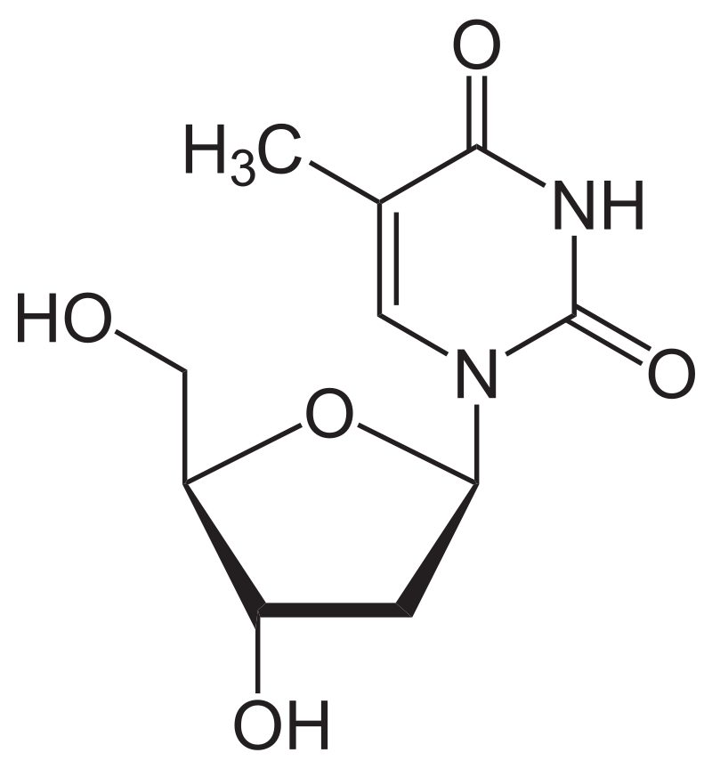 ثايميدين (ثيميدين) Thymidine