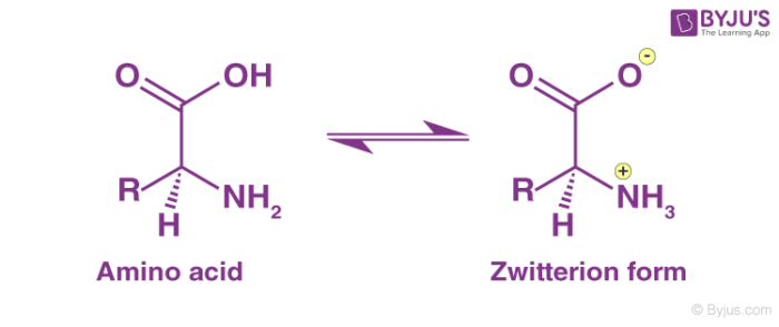 الزويتريون Zwitterion أو الجزئ المتعادل أو الأيون المزدوج (أيون زويتر)